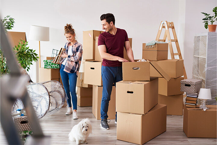 Formula Logistics Inc - International Moving Services USA to Latin America